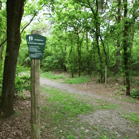 Cosy In The Middle Of Woods In * Doornspijk