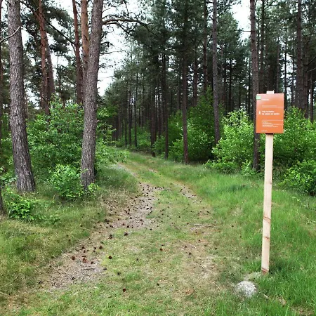Cosy In The Middle Of Woods In Doornspijk