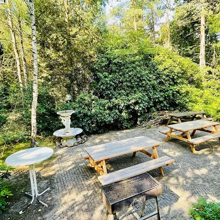 Cosy In The Middle Of Woods In *
