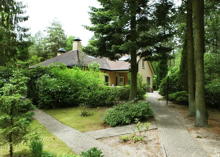 Family W Trampoline, Pool