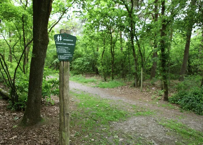 Family W Trampoline, Pool * Doornspijk