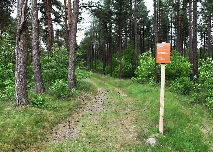 Family W Trampoline, Pool Doornspijk