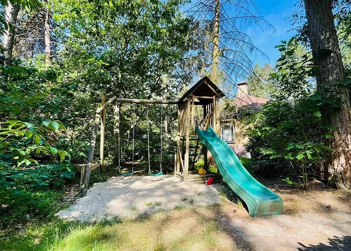 Family W Trampoline, Pool Doornspijk