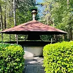 Family W Trampoline, Pool