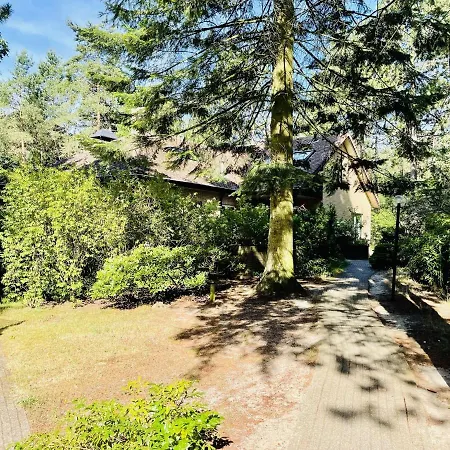 Villa Family W Trampoline, Pool Doornspijk