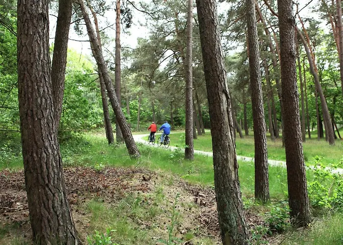 Вилла Family W Trampoline, Pool Doornspijk